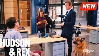 Hudson and Rex 2024 🔥🔥 Hero by Night 🔥🔥 Full Episode Series 2024 New