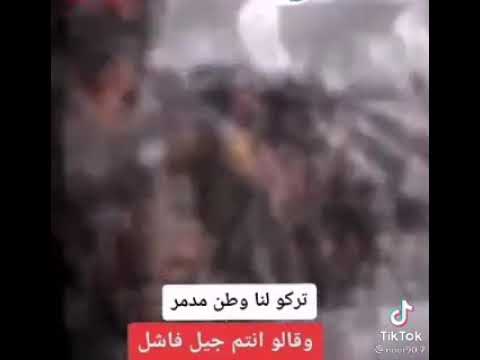 شارب مينا يغزر بيه