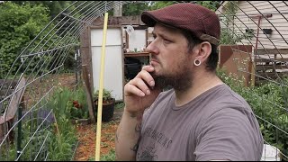 How To Start An Urban Homestead | Where To Begin