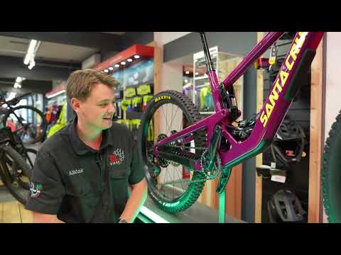 Santa Cruz Bronson