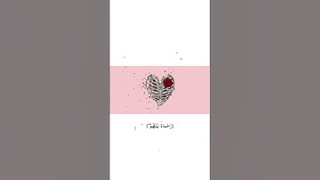 ما تيسّر من سورة الفتح - ياسر الدوسري #قرآن #قران_كريم #ياسر_الدوسري #اكسبلور #سورة_الفتح #explore