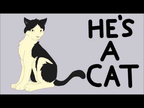 Cat Flushing a