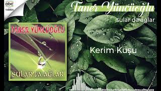 Taner Yüncüoğlu - Kerim Kuşu Resimi