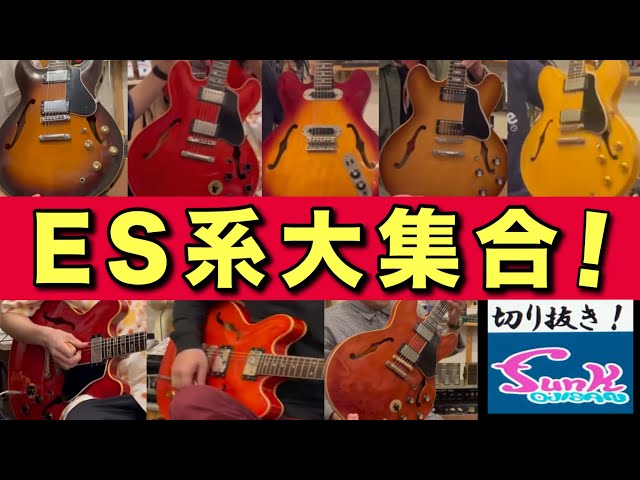 All 16 Models!] We've Compiled Every ES-3XX Series Guitar Demo