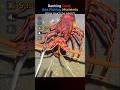Ranking Deep Sea Fishing Moments Pt.5 | #deepseafishing