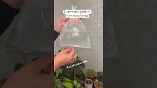 Pratik Bilgiler Için Sayfama Bakabilirsiniz