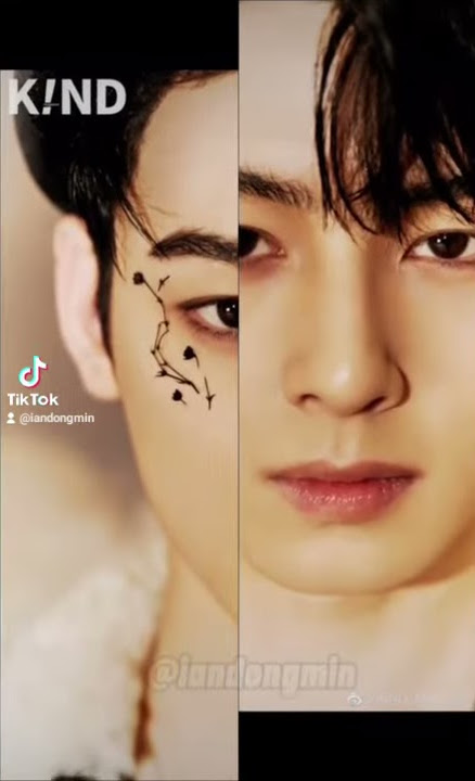 Cha Eunwoo Tiktok