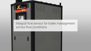 Raypak® XVers Condensing Fire-Tube Boiler