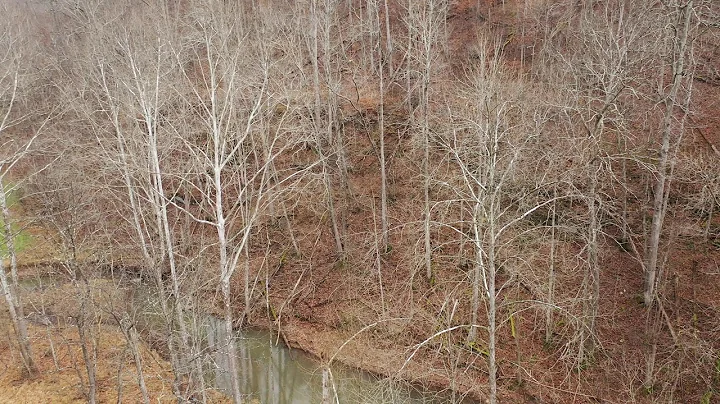 Leading Creek, Calhoun County, West Virginia