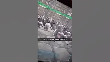 Most Satisfying Sound Ever Ark Playark Lol Dodo 