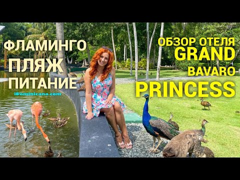 Видео: Фудкортът в хотел и казино Фламинго