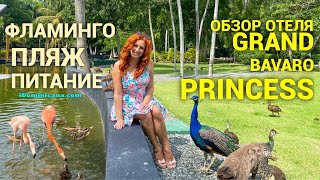 Обзор отеля Grand Bavaro Princess: фламинго, пляж, питание, номера - iDominicana.com