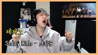 Stray Kids(스트레이 키즈) - 소리꾼(Thunderous) MV reaction 리액션