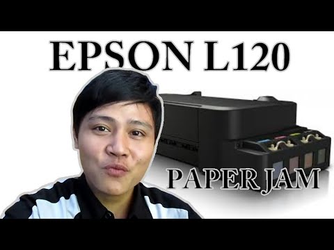 Epson L120 Can Not Drag Paper