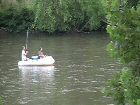 Fishing on the French Broad River - YouTube