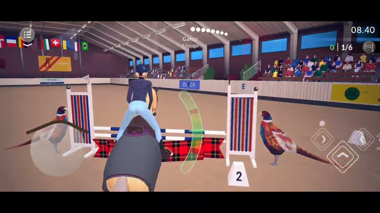 Concours! et une balade pour se detendre. 🐎Etg