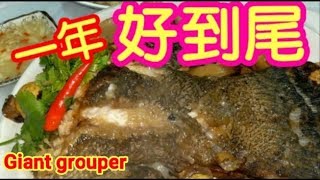 團年飯 紅燒龍躉尾 Giant grouper 一年好到尾 年頭好到年尾