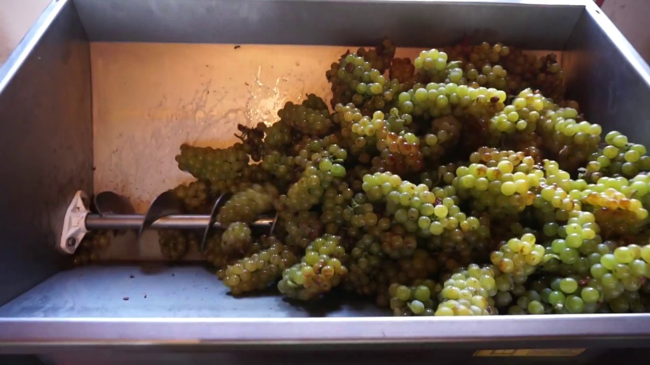 Enoitalia Jolly 20/ AR