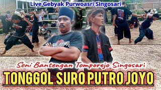 Download Lagu Seni bantengan tonggol suro putro joyo live gebyak Purwoasri singosari, #bantengan MP3