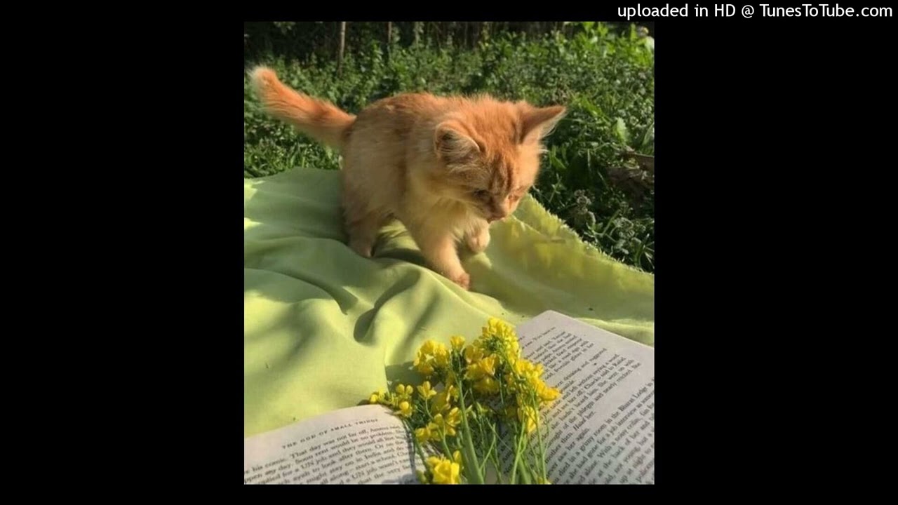 [FREE] (gtr) glaive x ericdoa x midwxst hyperpop type beat 2022 - “paradise”