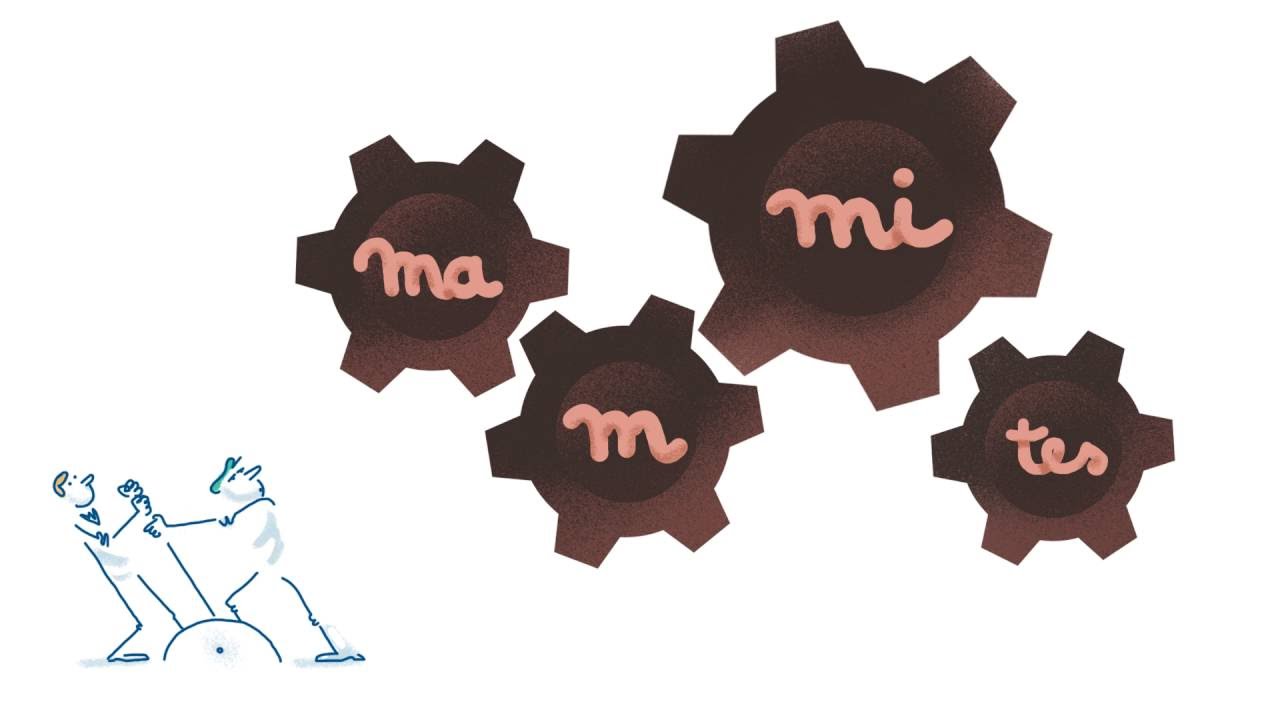 Mammites et cellules, agir vite !