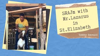 Mr. Lazarus a Young Farmer in St. Elizabeth || SRAJm