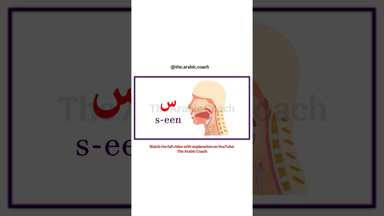 Reading and writing Seen س #arabicalphabet #learnarabic #arabiclanguage ...