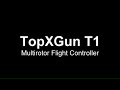 TopXGun T1 Test Flights in Diatone White Sheep with Aimdroix Arms