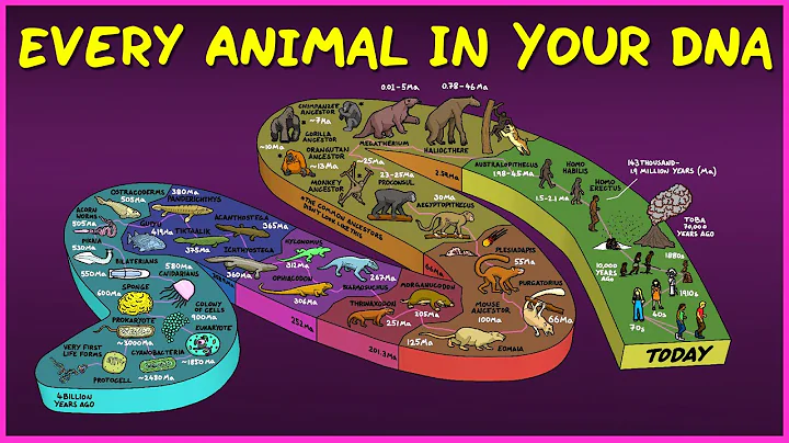 Every Animal In Your DNA - DayDayNews