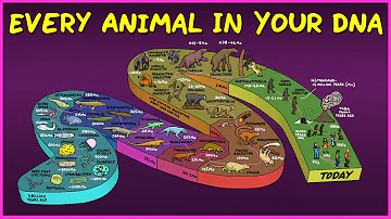 Does everything share a common ancestor?