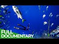 Adventure Ocean Quest: 24 Hours on the Reef | Episode 5 | Free Documentary Nature