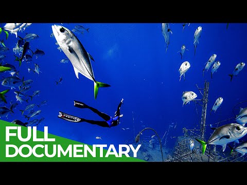 Adventure Ocean Quest: 24 Hours on the Reef