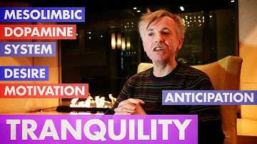 David Pearce - The Future Science of Wellbeing