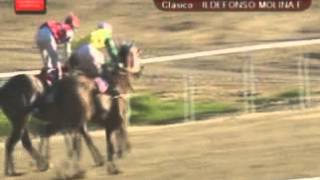 20121129 11 vsc