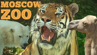 Moscow ZOO - A Quick Walkaround / Московский ЗООПАРК