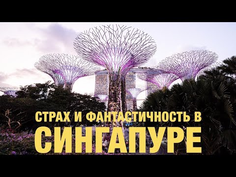 Vídeo: A quina distància està Newark de Singapur?