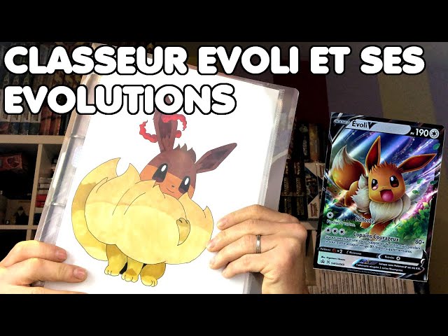 JE VOUS PRÉSENTE MON CLASSEUR DE CARTES POKEMON EVOLI ET TOUTES