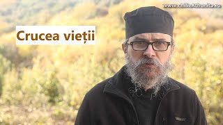 Crucea vieții - p. Teologos by O Chilie Athonită: Bucurii din Sfântul Munte 32,428 views 1 month ago 27 minutes