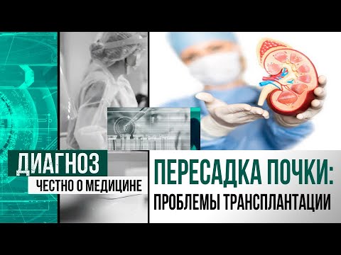 Трансплантация почки от живого донора: как сделать выбор в пользу жизни | Диагноз