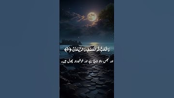 surah rahman | SURAH RAHMAN - سورة الرحمن | ar rahman surah #quran #rahman