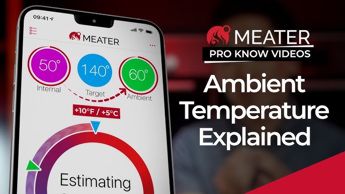 MEATER 2 Plus Explained  MEATER Product Knowledge Video 