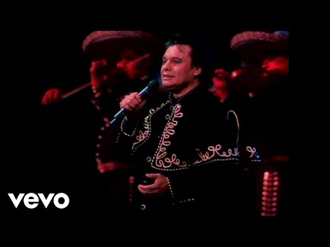 Juan Gabriel - Te Sigo Amando (En Vivo [Desde el Instituto Nacional de Bellas Artes])