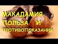 Орех макадамия польза и вред.