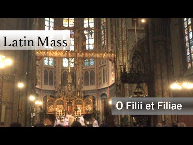 Watch O Filii et Filiae (Latin Mass) on YouTube.