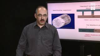 A Micro-Streamline Model for Waterflooding