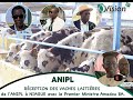 Dcouverte rception des vaches laitires de lanipl  niague avec le premier ministre amadou ba