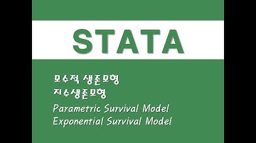 STATA를 활용한 구조방정식 - (29) 모수적 생존모형/지수생존모형 (Parametric Survival Model)/(Exponential Survival Model)