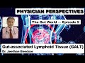 Gutworld episode 2 gutassociated lymphoid tissue galt