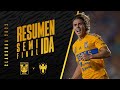 U.A.N.L. Tigres Monterrey goals and highlights