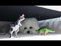 My Puppy Reacts To Dinosaur!